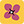 Begonia.pro logo